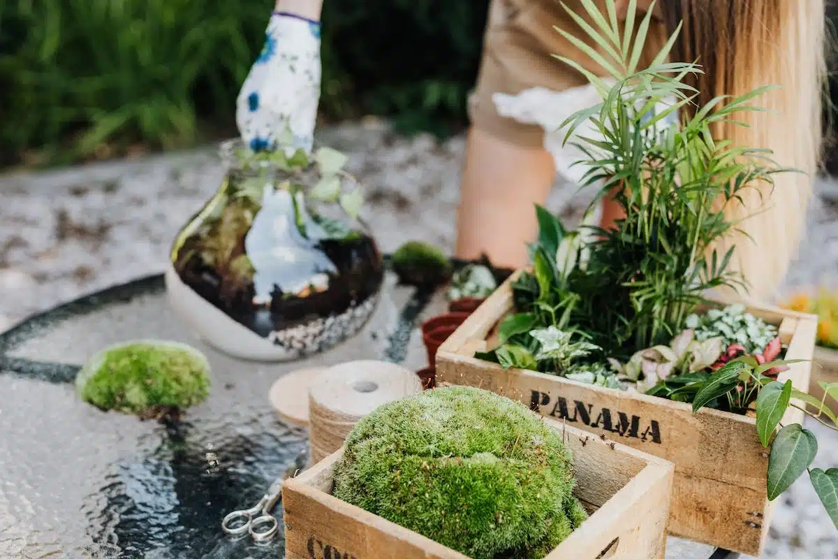 Organiser un mariage écologique et éthique : astuces et conseils pour une célébration écoresponsable