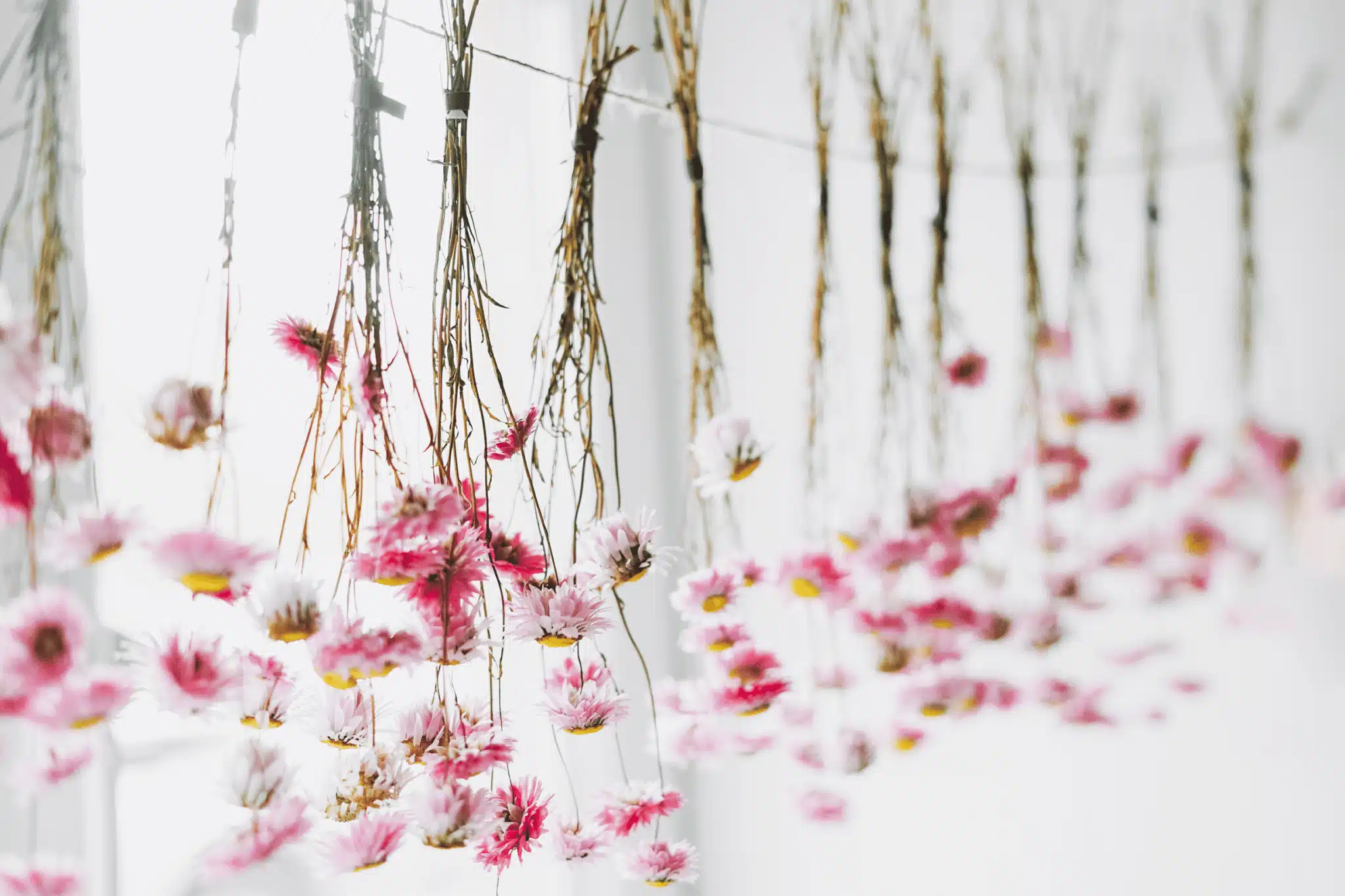 Les idées de décoration avec des fleurs suspendues